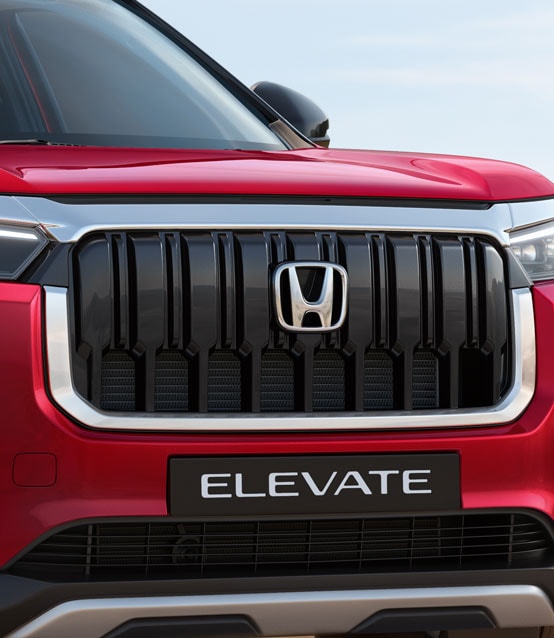Elevate front grille garnish